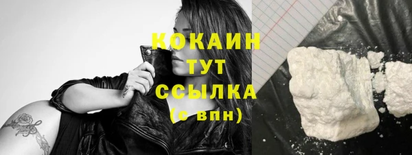 мяу мяу мука Рославль