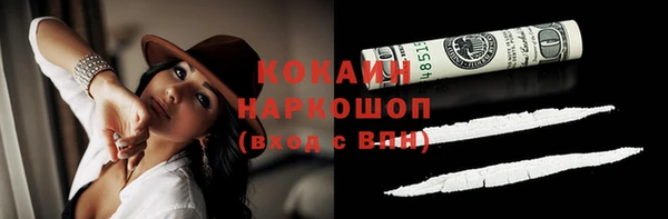 прущие грибы Алексеевка